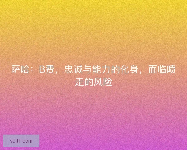 萨哈：B费，忠诚与能力的化身，面临喷走的风险