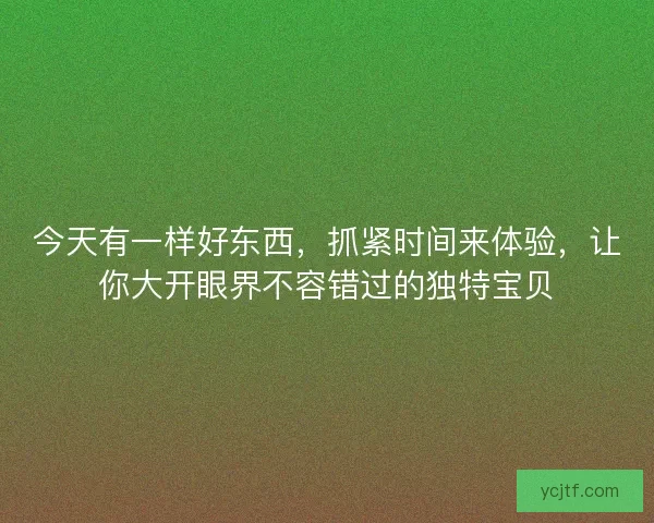 今天有一样好东西，抓紧时间来体验，让你大开眼界不容错过的独特宝贝