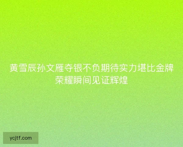 黄雪辰孙文雁夺银不负期待实力堪比金牌荣耀瞬间见证辉煌