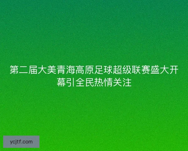 第二届大美青海高原足球超级联赛盛大开幕引全民热情关注