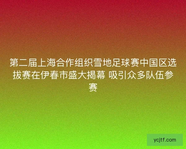 第二届上海合作组织雪地足球赛中国区选拔赛在伊春市盛大揭幕 吸引众多队伍参赛