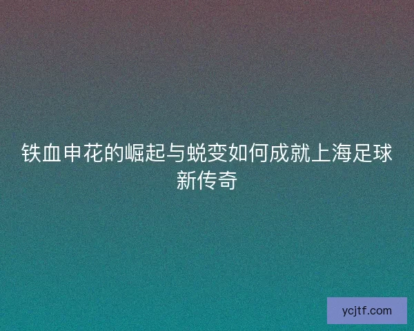 铁血申花的崛起与蜕变如何成就上海足球新传奇