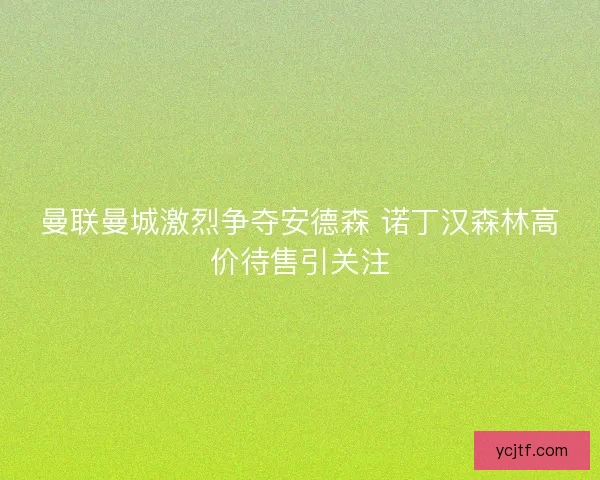 曼联曼城激烈争夺安德森 诺丁汉森林高价待售引关注