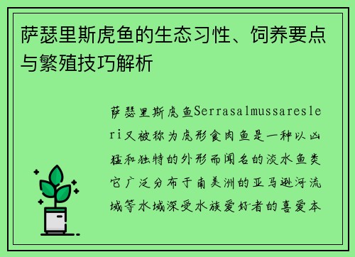 萨瑟里斯虎鱼的生态习性、饲养要点与繁殖技巧解析